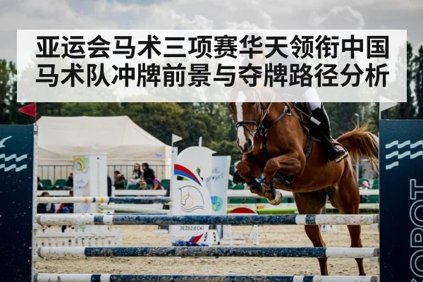 亚运会马术三项赛华天领衔中国马术队冲牌前景与夺牌路径分析